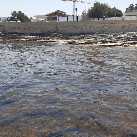 Apartment The Cozy Place